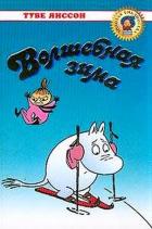 Волшебная зима